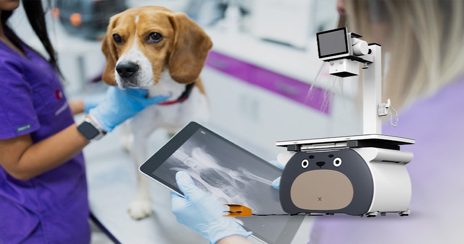 可視化醫療設備